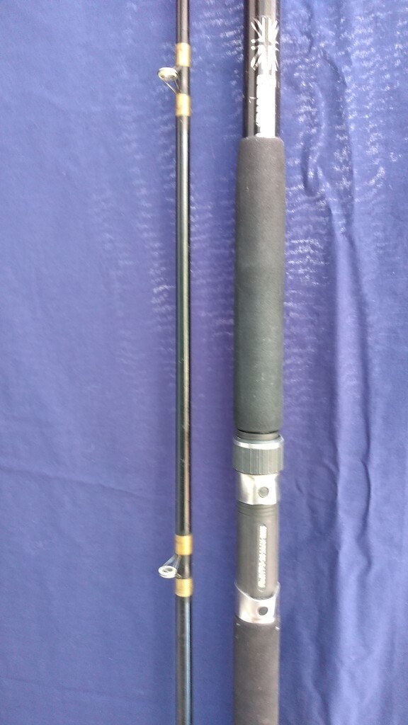 beachcaster rod