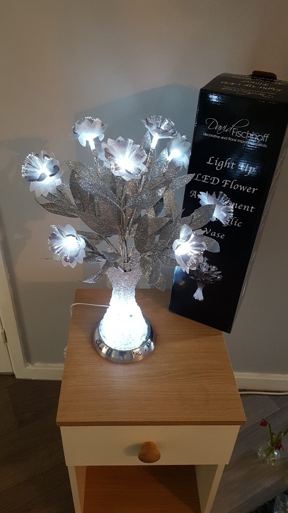 Light Up Vase And Flowers In Sandwell West Midlands Gumtree