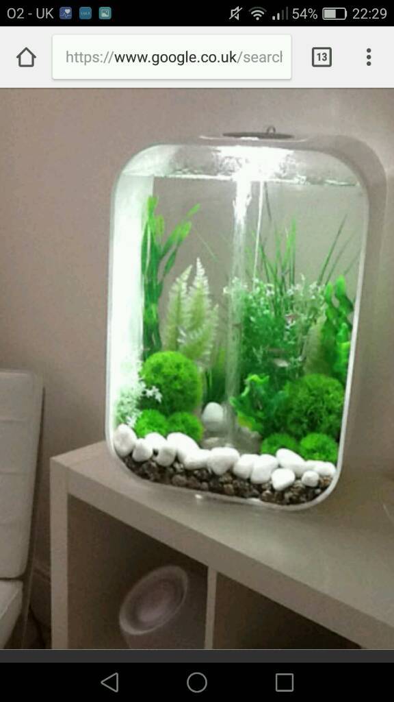 Biorb fish tank like new in Belfast City Centre, Belfast Gumtree