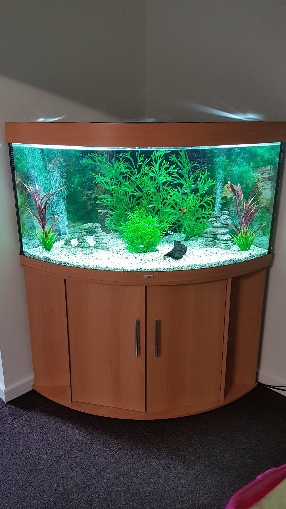 Juwel 350 Corner Fish Tank in Beech. Comes with everything you need to