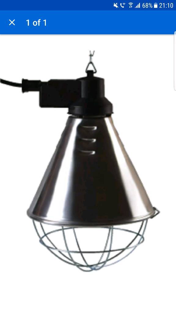 Poultry heat lamps in Newton Abbot, Devon Gumtree