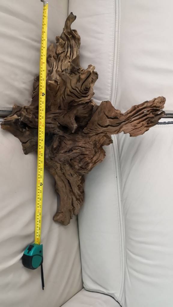 Aquarium bogwood in Shard End, West Midlands Gumtree