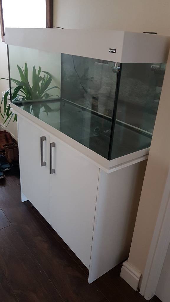 Aqua One Fish Tank with matching white two door stand in Stocktonon