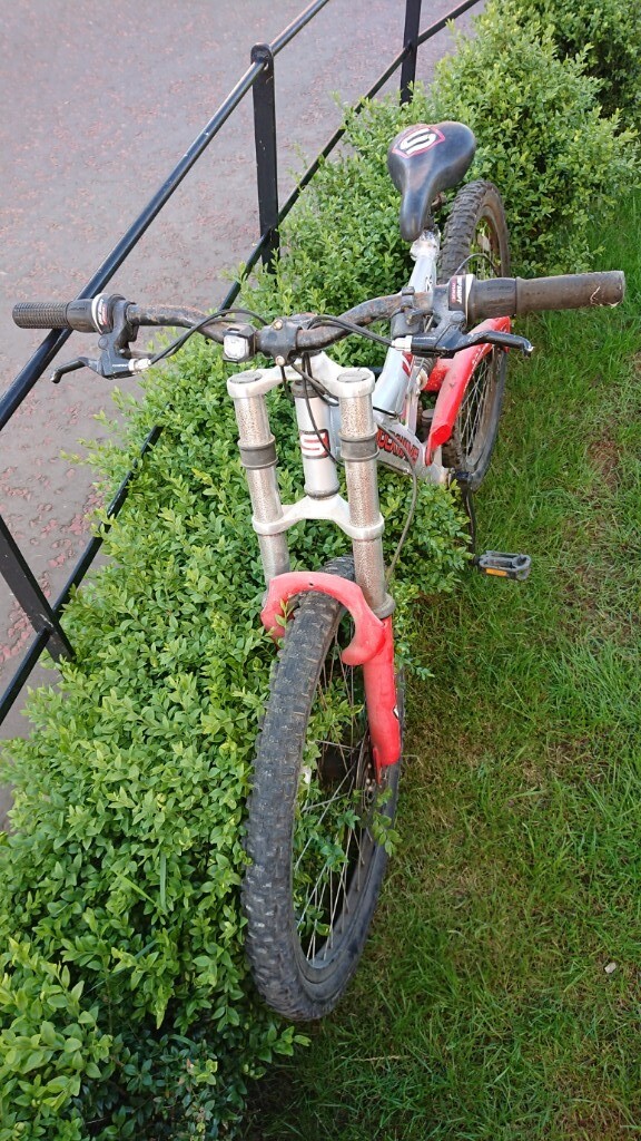 Mountain Bike with Swing arm technology and K5 260 suspension in