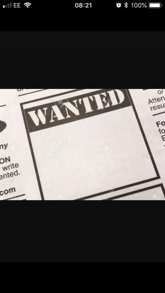 Rental property wanted Single Professional Female in Aberdeen Gumtree