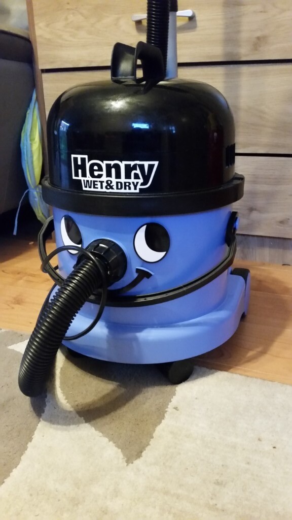 Henry Wet and Dry in Norwich, Norfolk Gumtree