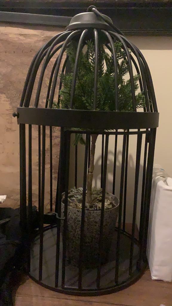 Black bird cage in Clapham Common, London Gumtree
