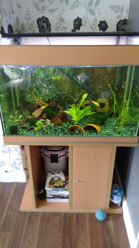 3ft fish tank with stand in Chesterfield, Derbyshire Gumtree