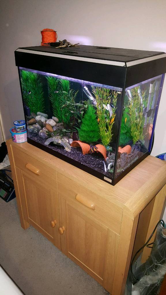 Fluval Roma 90 fish tank and in Luton, Bedfordshire Gumtree