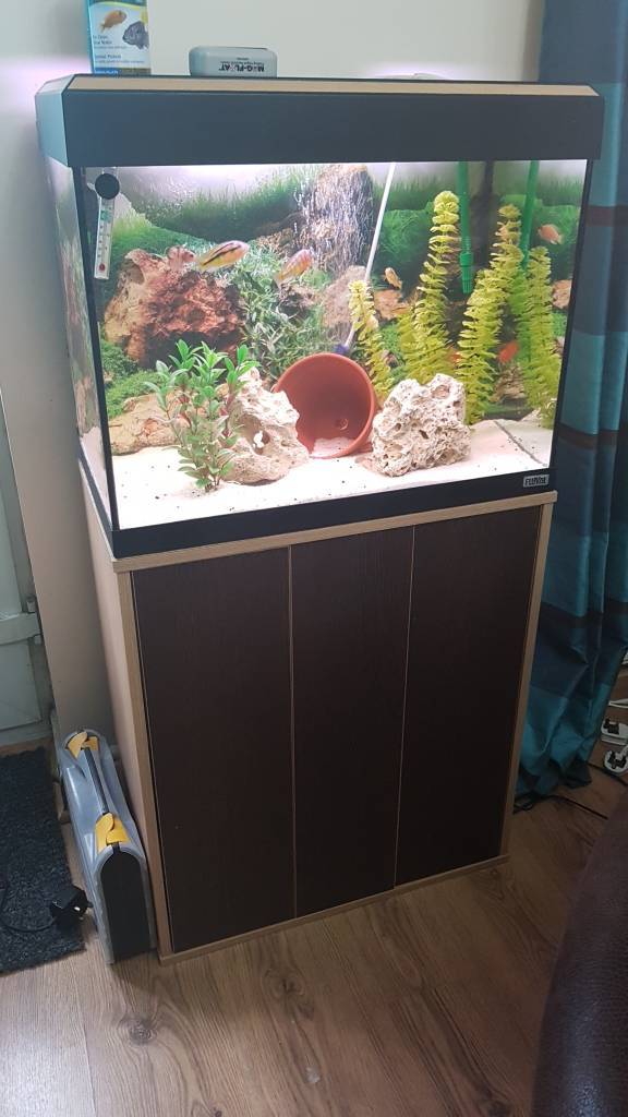 Fluval roma 90l fish tank for sale in Norwich, Norfolk Gumtree