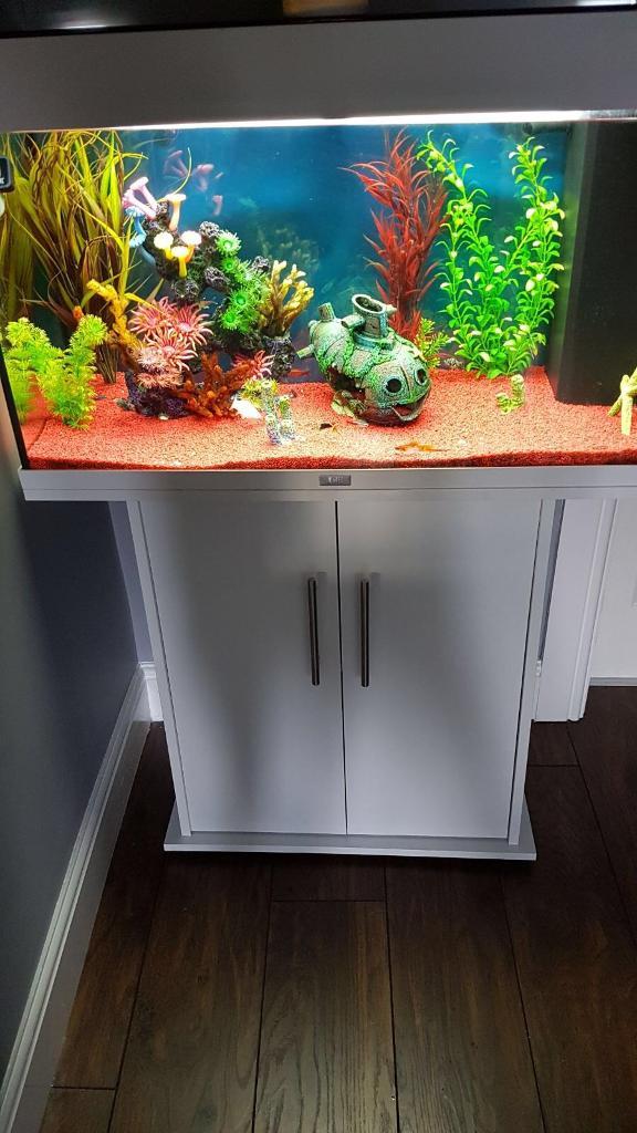 Tropical fish tank 125 litre in Larkhall, South Lanarkshire Gumtree