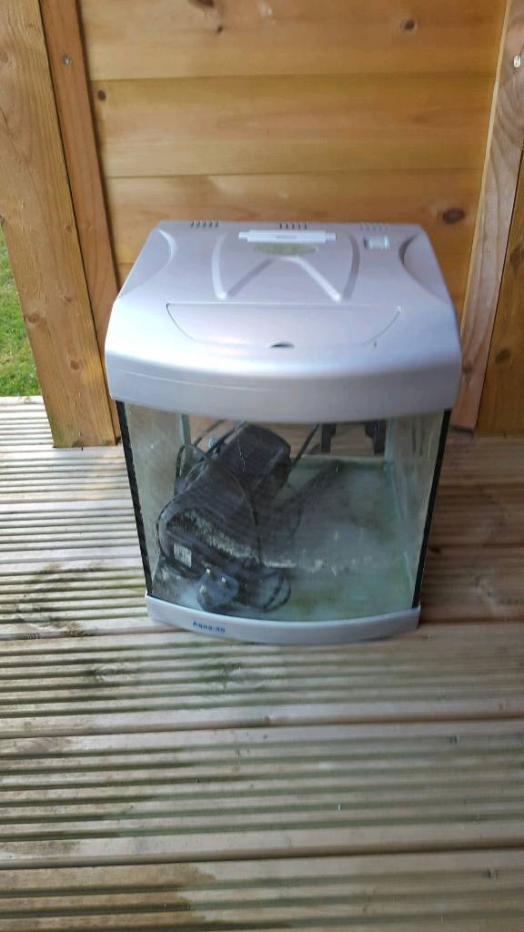 aqua 40 aquarium in Long Eaton, Nottinghamshire Gumtree