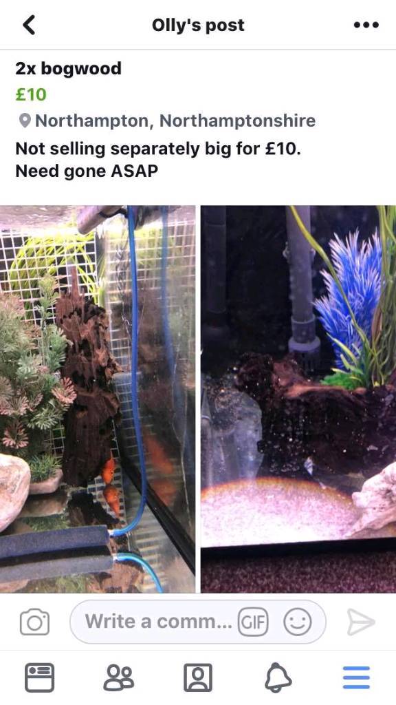2 x bogwood for aquarium in Northampton, Northamptonshire Gumtree