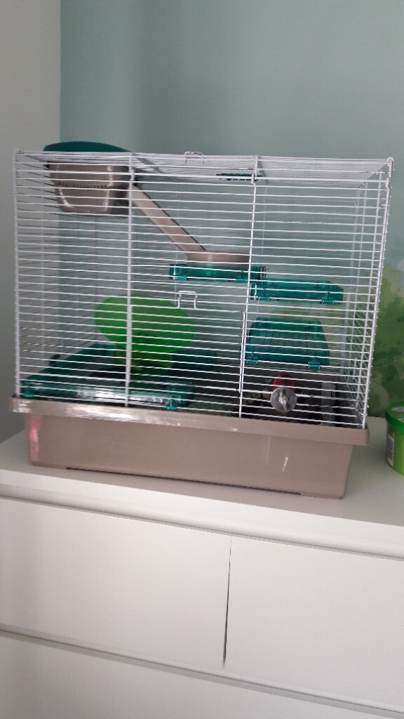 Hamster cage, bedding and accessories in Woking, Surrey Gumtree