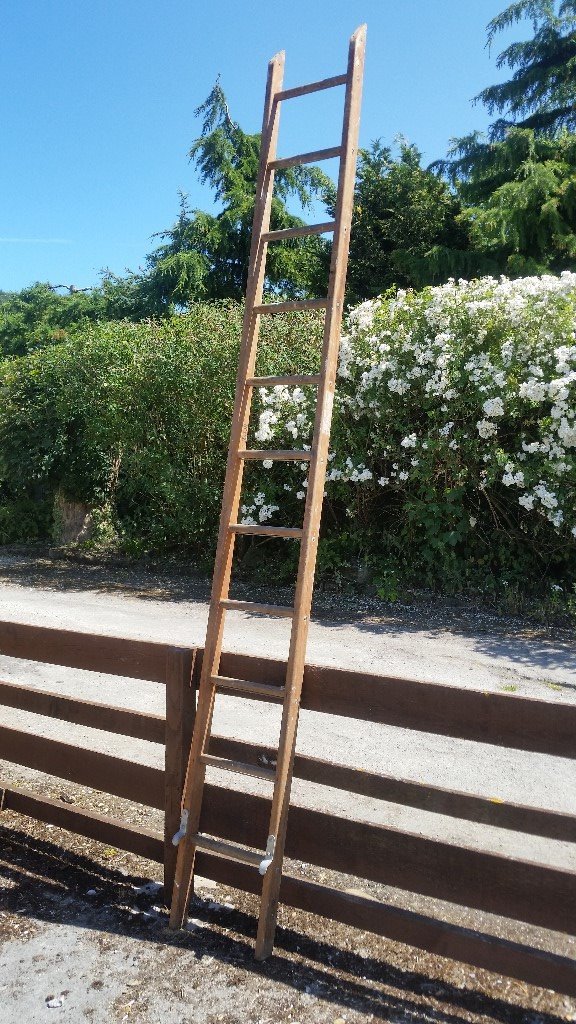 10 Ft wooden ladder in Otley, West Yorkshire Gumtree