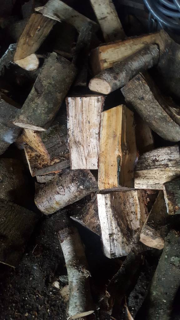 Seasoned hardwood logs in Consett, County Durham Gumtree