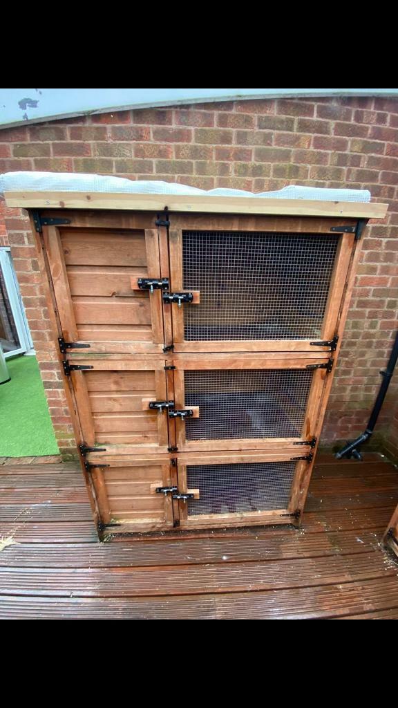 3 tier rabbit hutch in Alfreton, Derbyshire Gumtree