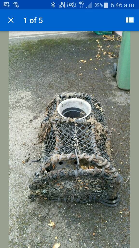 Vintage Lobster Pot Crab Pot Garden Ornament in Dawlish, Devon Gumtree