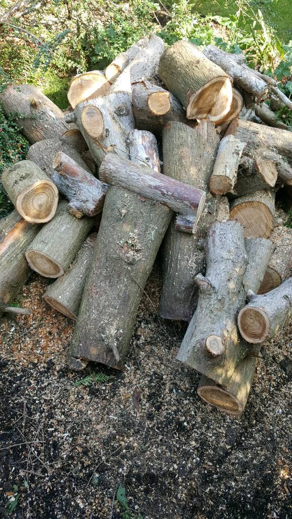 logs - softwood. in llandaff, cardiff gumtree