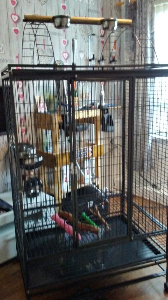 large parrot cage , perches , bird carrier in Barnsley, South