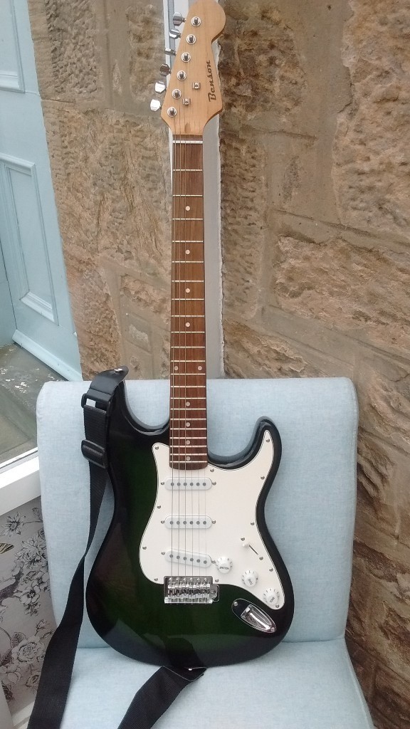 Benson Electric Guitar in Falkirk Gumtree