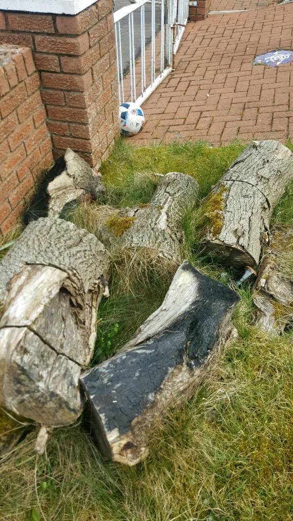 Free logs free logs in Stonehouse, South Lanarkshire Gumtree