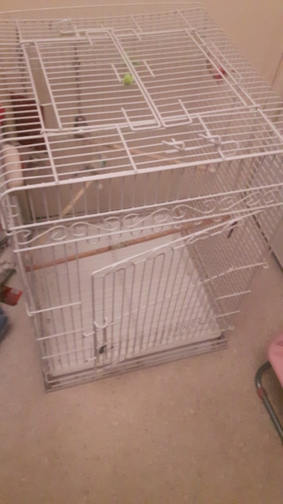 Large birds cage in Cyncoed, Cardiff Gumtree