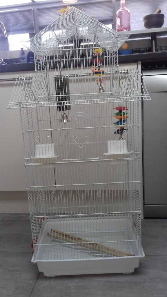 Large bird cage & accessories in Eynsham, Oxfordshire Gumtree