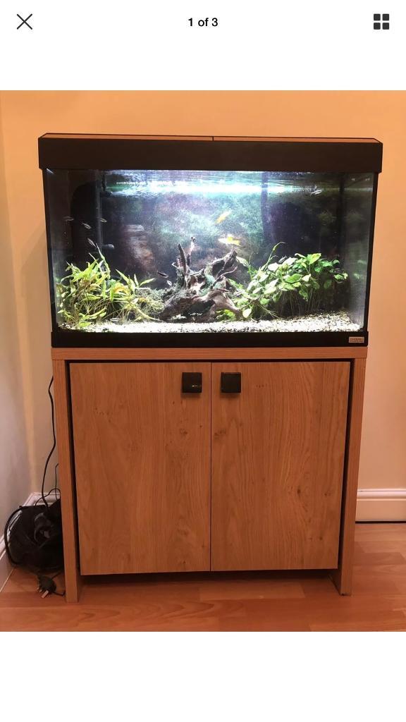 Fluval Roma 90 Litre Fish Tank In Kirkby In Ashfield Nottinghamshire
