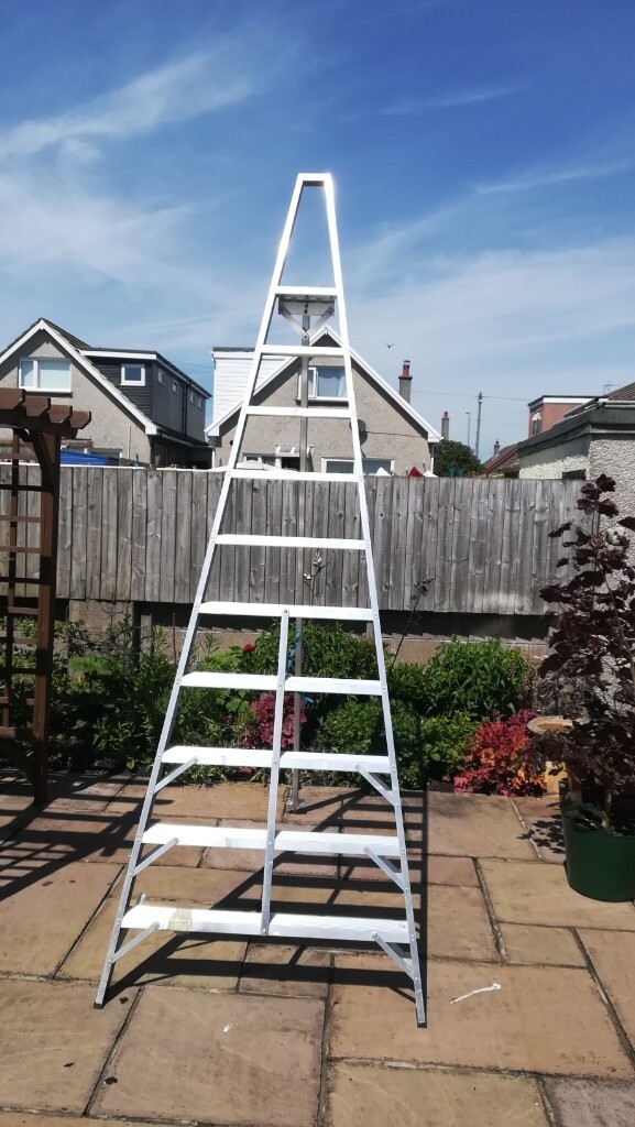 LYTE Fruit Picking Tripod Ladder for sale. in Barry, Vale of