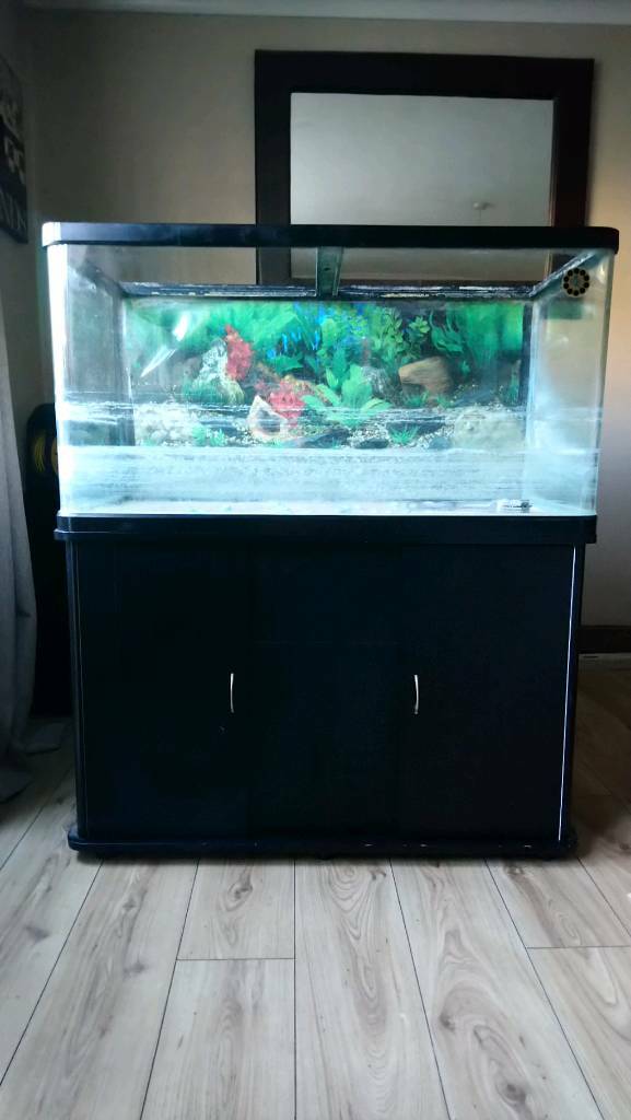 3ft fish tank in Andover, Hampshire Gumtree