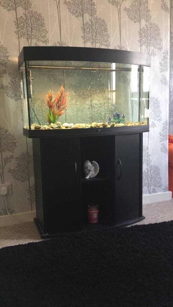 110 Litre Fish Tank | in Inverness, Highland | Gumtree