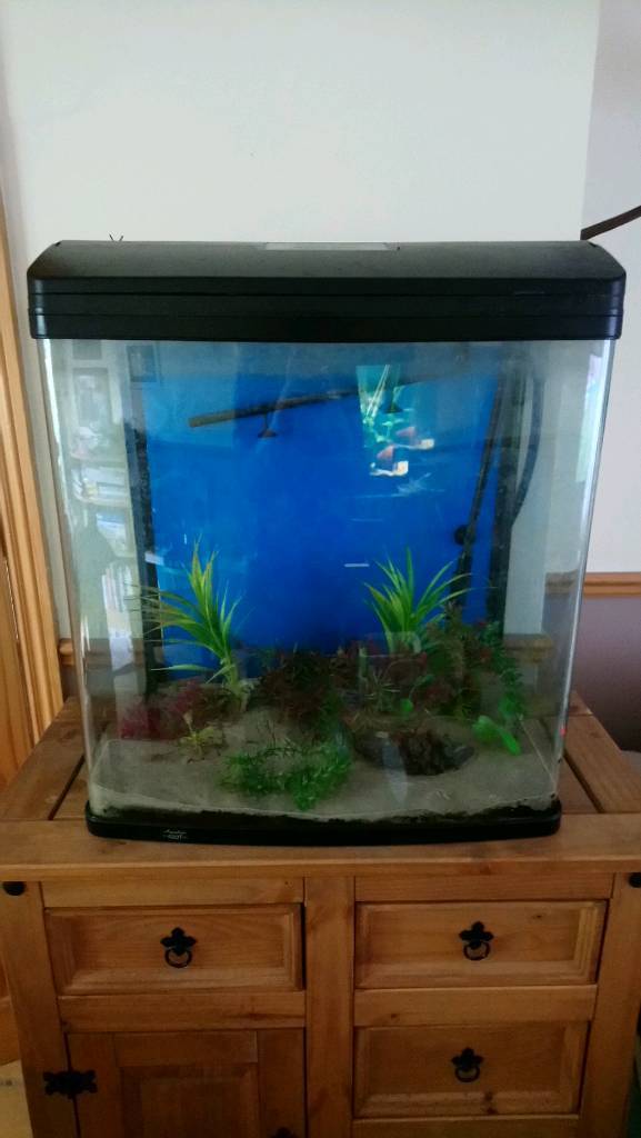 Aqua One Aqua Style 620t 130 litre aquarium fish tank in Thetford