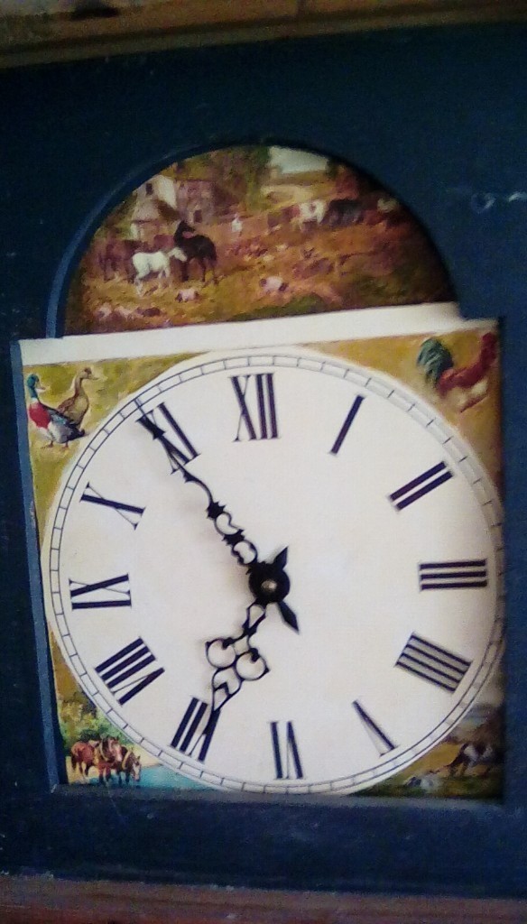 SOLID PINE, RUSTIC FARMHOUSE GRANDFATHER CLOCK in Bude, Cornwall