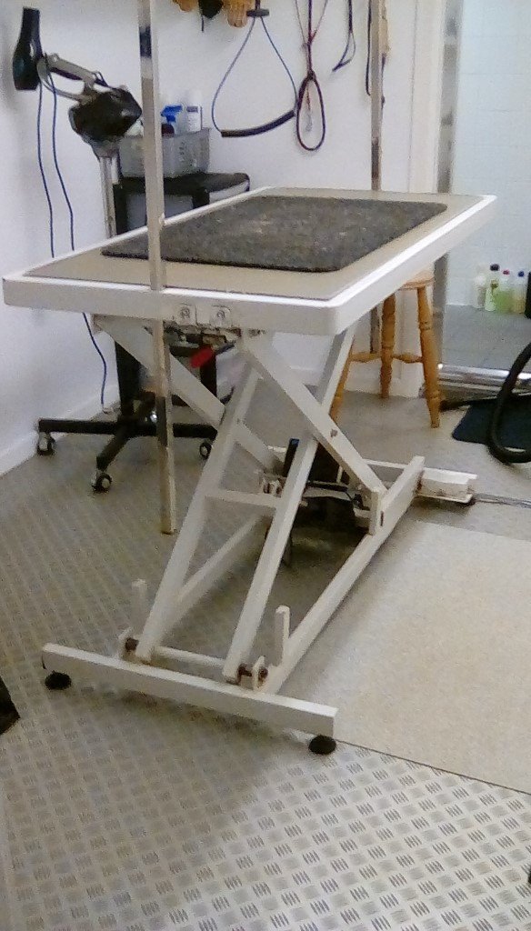 Dog Grooming table fully electric foot pedal operation (not manual) low