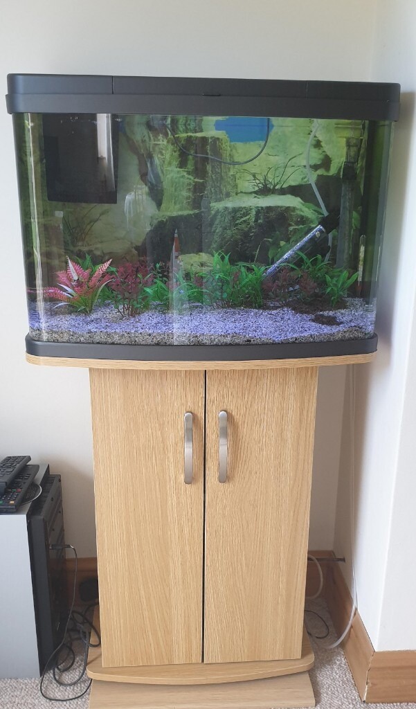 fish tank, aquarium, panorama 2ft, 64 litre, with stand/