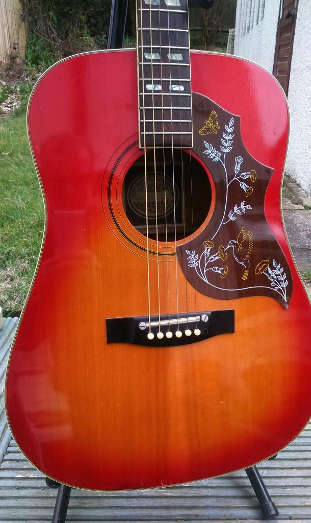1981 Hondo Hummingbird Copy Acoustic Guitar in Brighton, East Sussex