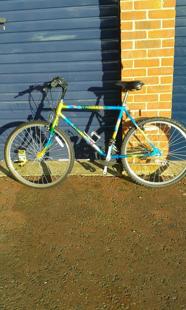 Raleigh 90s mountain bike in Haverhill, Suffolk Gumtree
