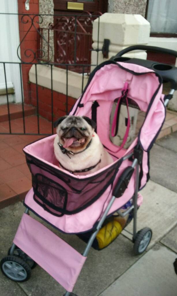 Dog pram in Wavertree, Merseyside Gumtree