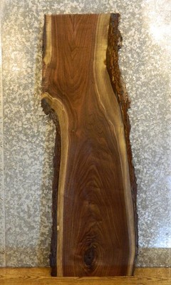 Salvaged Partial Live Edge Black Walnut Sofa/Side Table Top Slab 1352
