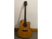 West Road WG-62CN Acoustic Guitar - used