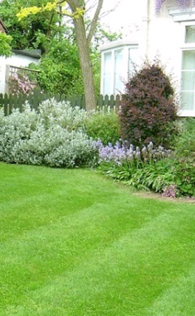 Garden maintenance in Manchester Gumtree