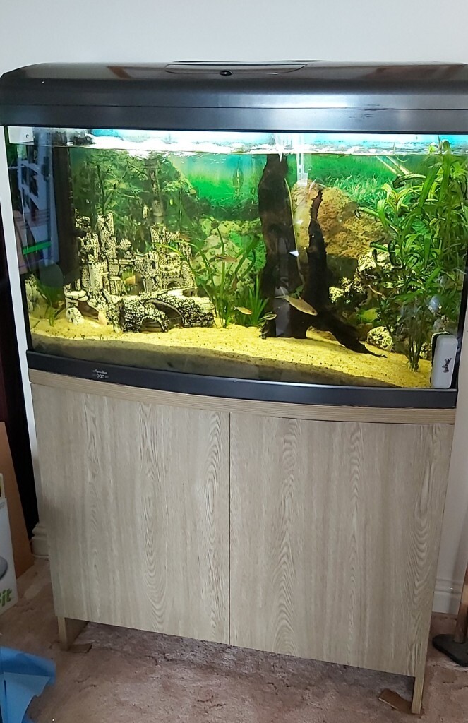 Bow Fronted Fish Tank & Stand Only. 3ft Aqua One 900 in Somerset