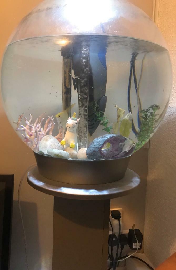Biorb Fish Tank and Stand in East Kilbride, Glasgow Gumtree
