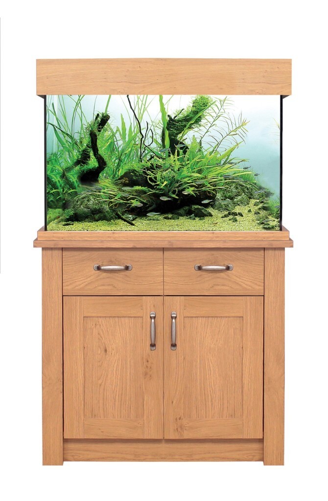 Oak Style 145L Aquarium Tank & Stand. in StratforduponAvon