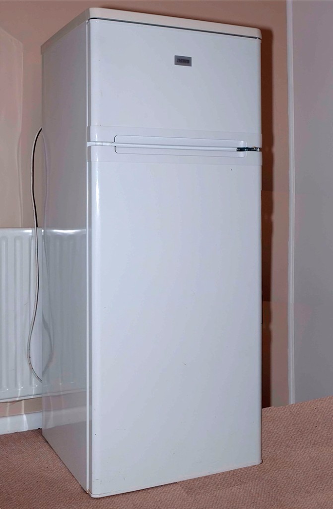 Zanussi CT 235 Fridge freezer Large fridge/small freezer compartments