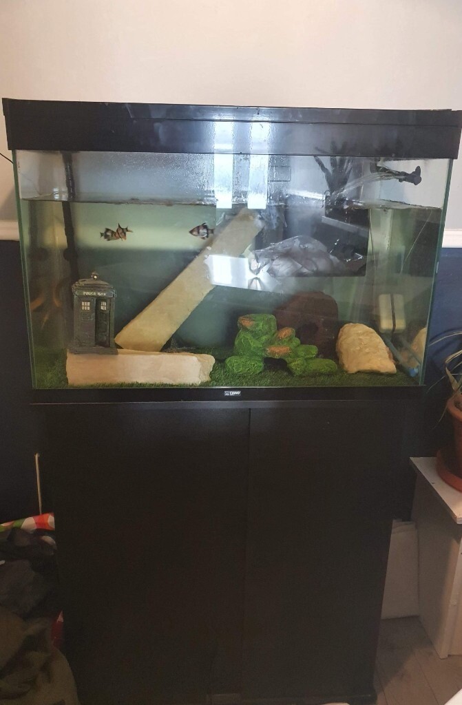 Fish tank for sale in Chelmsley Wood, West Midlands Gumtree