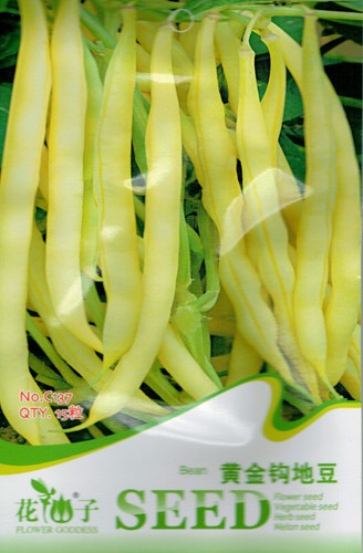 Chinese Vegetable seeds 5g Large Purple lace haricot bean color pack 原装彩包紫边大扁豆