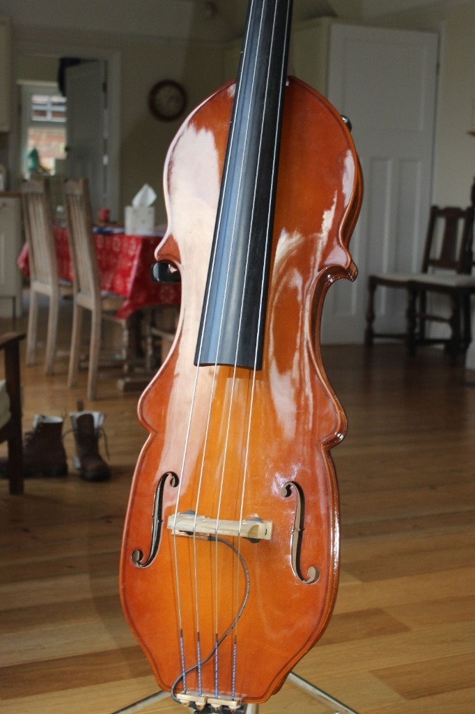Eminence Upright Bass (EUB) w/ Removable Neck in Camden Town, London