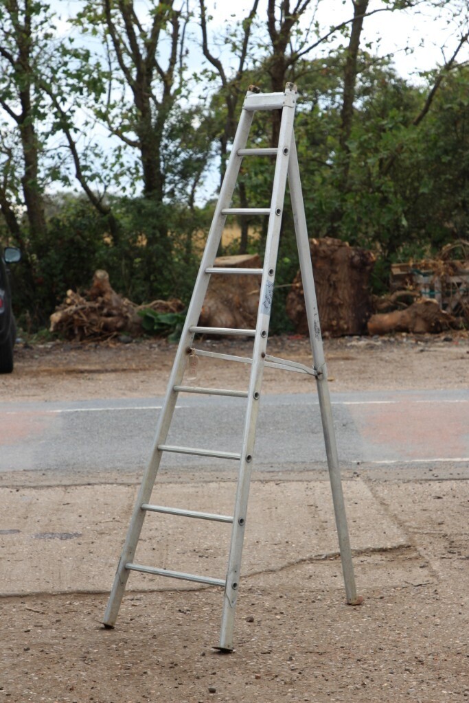 Fruit Picking Ladders in ClactononSea, Essex Gumtree